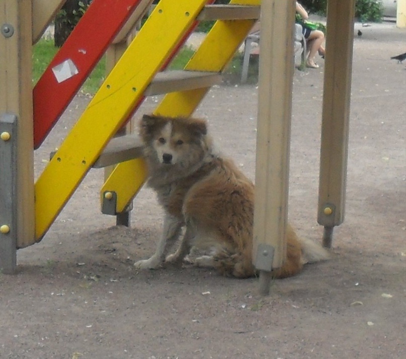 Александра Сидорская | Санкт-Петербург