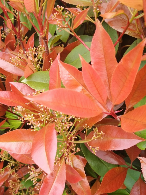 Нина Серова | Краснодар