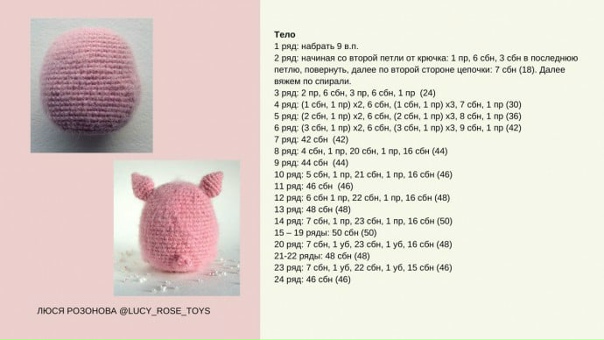 Морские свинки крючком, 2025