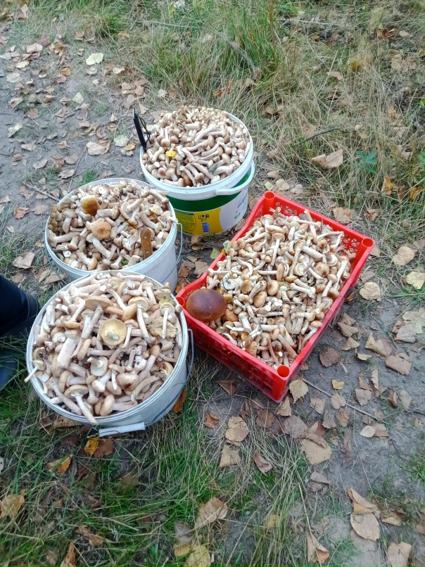 Владимир Косов vovan73 | Новоульяновск