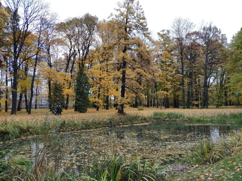 Владимир Бондарь | Санкт-Петербург
