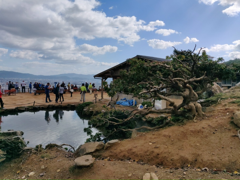 Дмитрий Аникин | Москва