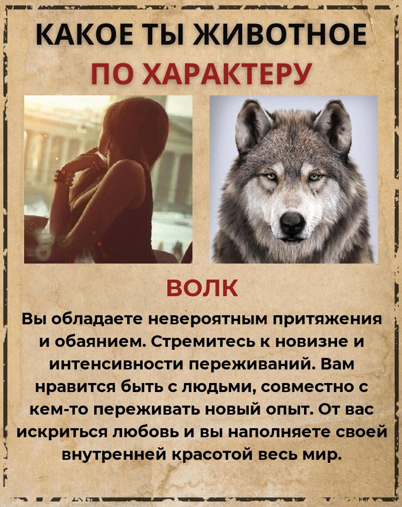 Наталия Соколова | Москва