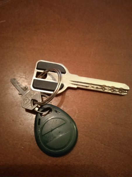 Найдены ключи. Трудовая, дом 1.