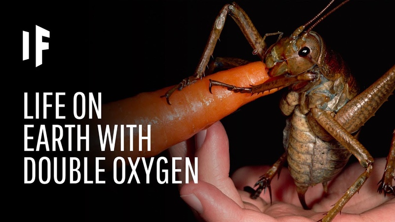 What If Oxygen Doubled in Earth s