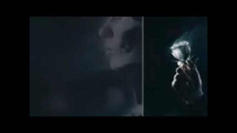 18+ Pussykiller mix
