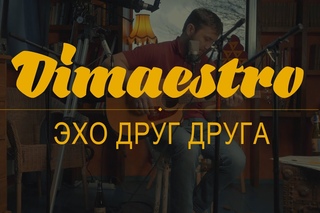 Dimaestro  Мы тихое эхо друг друга (2016)
