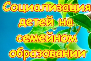 Семья Бровченко. Социализация несадиковских детей и деток на семейном образовании.