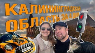 НУ ЧТО, ПОЕХАЛИ В  КАЛИНИНГРАД
