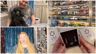 Семейное удовольствие 🎁 сладости, новые автобусы и украшения для коллекции, счастливые собачки