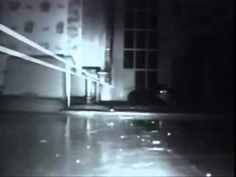 AFV Racoon burglar at
