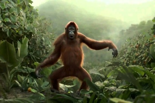 dancing monkey)