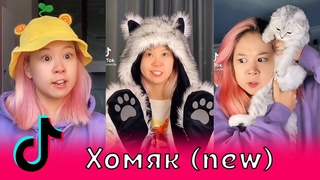 Хомяк (new) из Тик Тока / Алина Ким, Хома, homm9k, Тиктокерша хомяк, yolo house, ХОМА (homm9k)