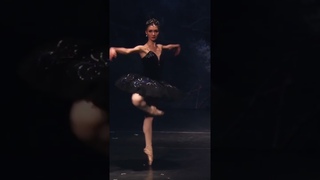 Black pas de deux from the Russian ballet Swan Lake