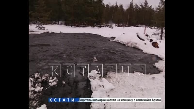 Грязная правда за красивым фасадом экологическое