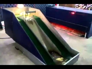 Little Ducks Enjoying The Water Slides.. Too Cute