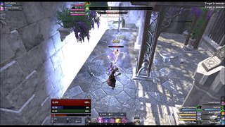 MagSorc (pet) 49k dps - Summerset PTS preview