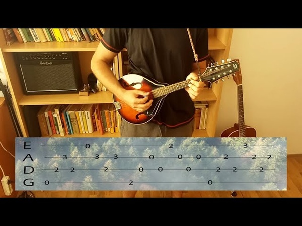 Blackmores Night Wish You Were Here (on mandolin with