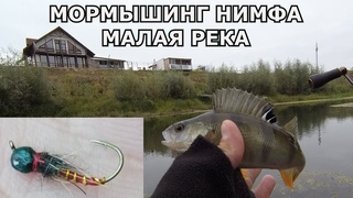 Мормышинг с нимфой на реке. Окуни, гнут спиннинг в дугу. :)