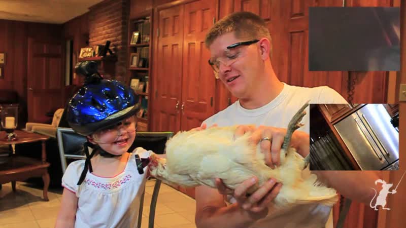 Chicken Powered Steadicam vs Kid