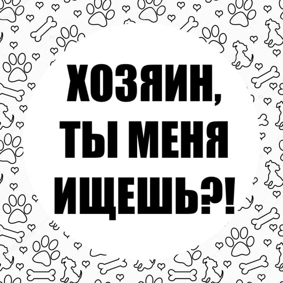 Хозяин ищет говноеда Хозяин ищет