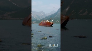 БМРТ “КРЕЧЕТ“. Бухта Лаврова #antares_east #seatravel #shorts #secret #камчатка #shipwreck