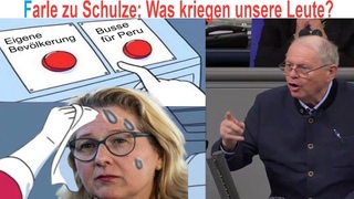 Farle zu Entwicklungshilfe: „Und was kriegen unsere Leute?“