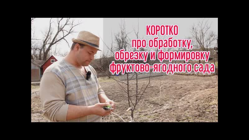 ТОЛЬКО ТАК НАДО РАБОТАТЬ В САДУ ВЕСНОЙ. Санитарная обрезка
