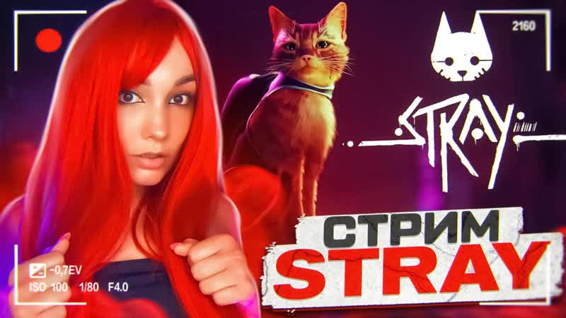 СЕГОДНЯ Я КОТИК, ИГРАЕМ В