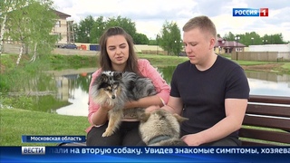 Клещи опасность для людей