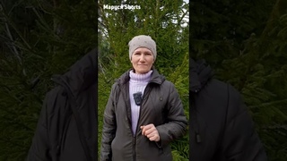 С НИМ В ЛЕСУ СПОКОЙНЕЙ