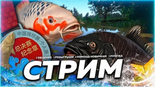 МЕДНОЕ  ПРОВЕРЯЕМ ФАРМ КАРПОВ КОИ Рулетка & Розыгрыши  СТРИМ Русская Рыбалка 4