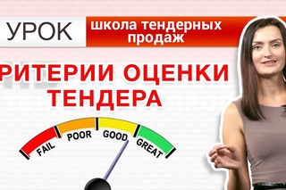 СТОИТ ЛИ УЧАВСТВОВАТЬ В ТЕНДЕРЕ  Критерии быстрой оценки тенде  НЕЗАПИЛЕНО УРОК 2