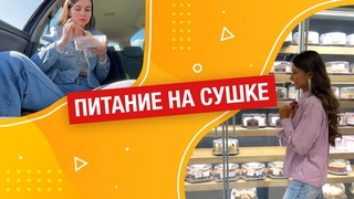 ПИТАНИЕ НА СУШКЕ: рацион, читмил, РПП