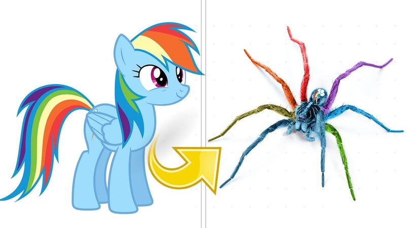 My Little Pony Rainbow Dash as