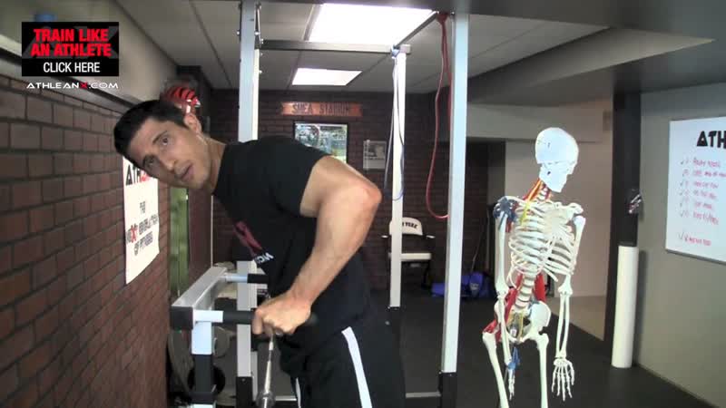 Why Dips DONT Really Work Your Triceps ( HOW TO FIX IT