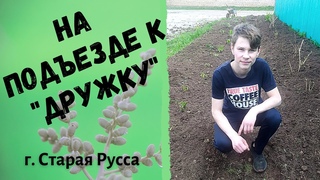 Оформление входной зоны в приюте “Дружок“. Старая Русса.