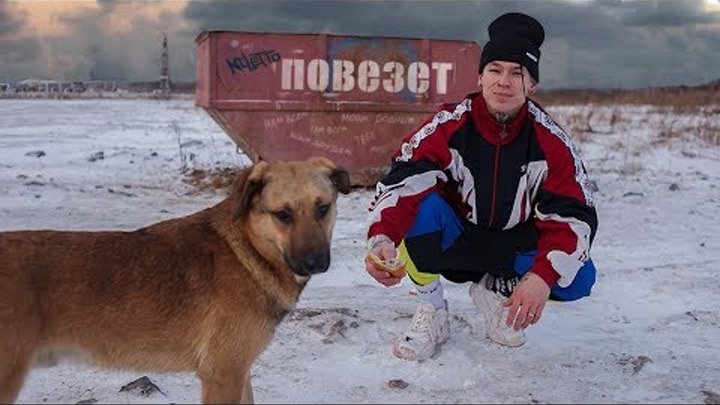 NILETTO Повезёт (mood video