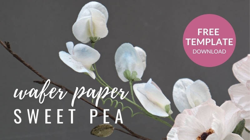 How to make Sweet Pea Flowers for cake decorating using wafer paper, Modern Cakes and