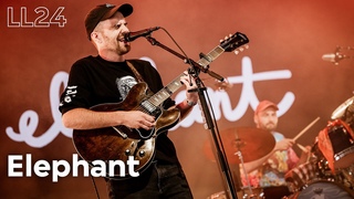 Elephant - live at Lowlands 2024