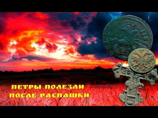 7 ЛЕТ ЖДАЛИ РАСПАШКУ ПОЛЯ! И ВОТ СВЕРШИЛОСЬ! ПЕТРЫ ПОЛЕЗЛИ!