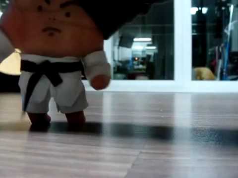 la mano taekwondista (taekwondo