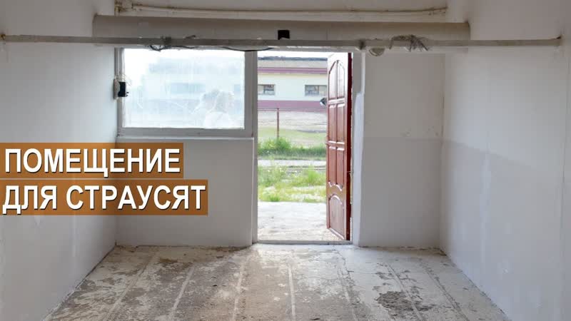 Помещения с выгулами для молодняка страуса. Ферма Русский