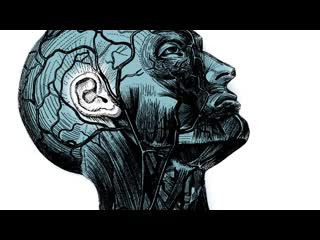 Your brain on improv - Charles Limb